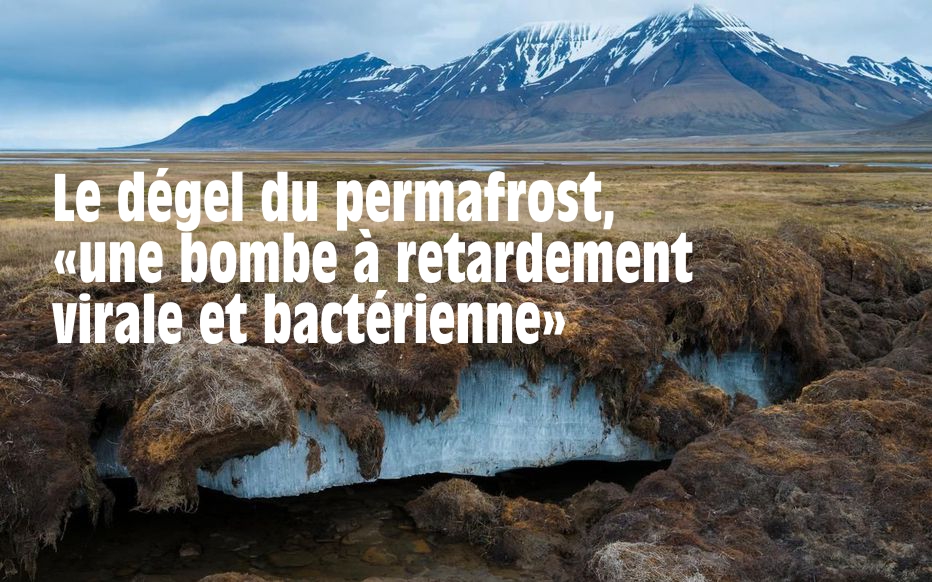 Le dégel du permafrost, «une bombe à retardement virale et bactérienne» | Le Parisien